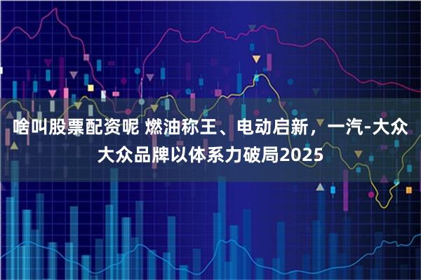 啥叫股票配资呢 燃油称王、电动启新，一汽-大众大众品牌以体系力破局2025
