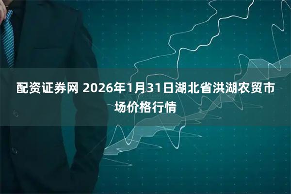 配资证券网 2026年1月31日湖北省洪湖农贸市场价格行情